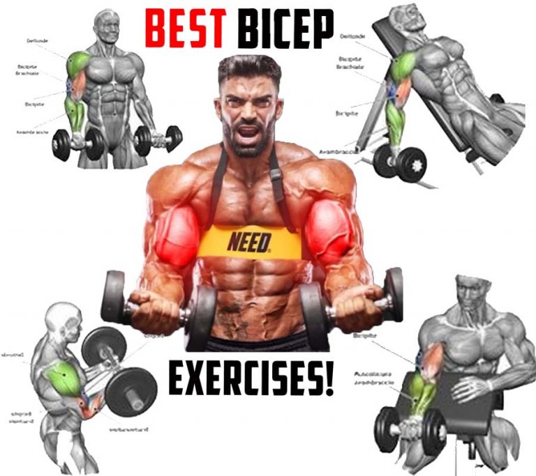 Bicep Exercises | The Best Training Program