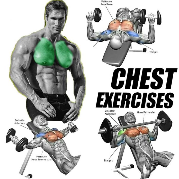 3 Chest Exercises For Longevity & Isolation