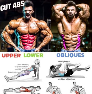 The best Ab Exercises & Program Abs Workout