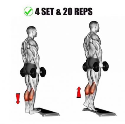 Standing Calf Raise Vs. Seated Calf Raise, Difference, Tips, Benefits