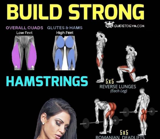 build hamstring