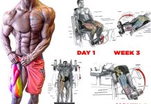 Best Muscle-Building Leg Exercises | Tips Best leg muscle exercises