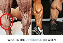 Standing Calf Raise vs. Seated Calf Raise, Difference, Tips, Benefits Sanding Calf Raises vs. Seated Calf Raises