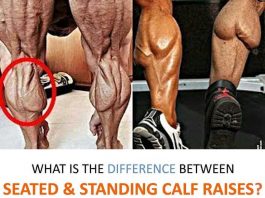 Sanding Calf Raises vs. Seated Calf Raises