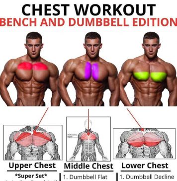 The Pectoral Muscles + Program Chest Workout