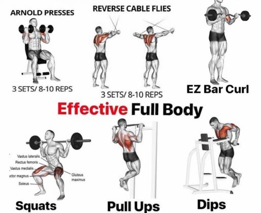 Full Body Weights Workout Routine, Benefits, Tips