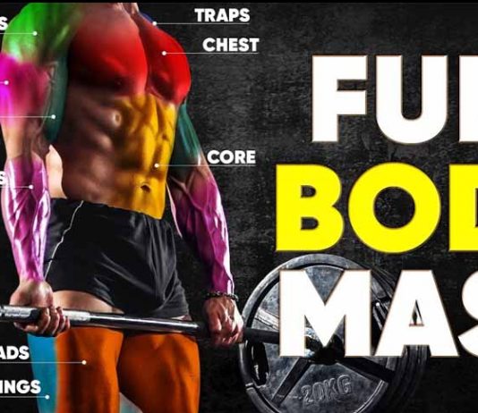 Full Body Weights Workout