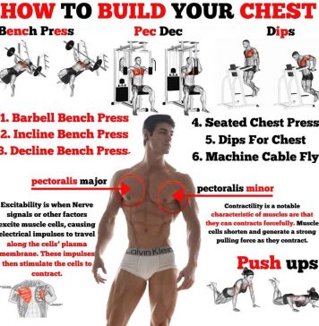 How to Build Chest | Tips build pecs