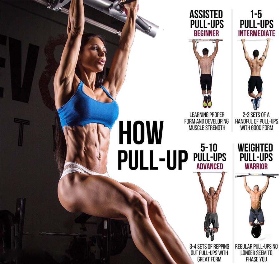 pull up workout