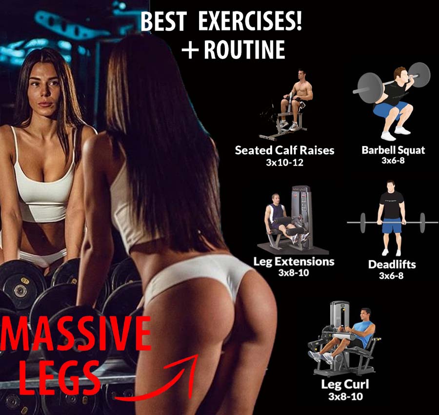 Basic Leg Exercises