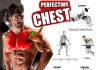 Build Chest - Perfect Exercises