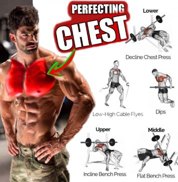 Pectoral Training Program for Chest Mass, Benefits, Tips Build Chest - Perfect Exercises