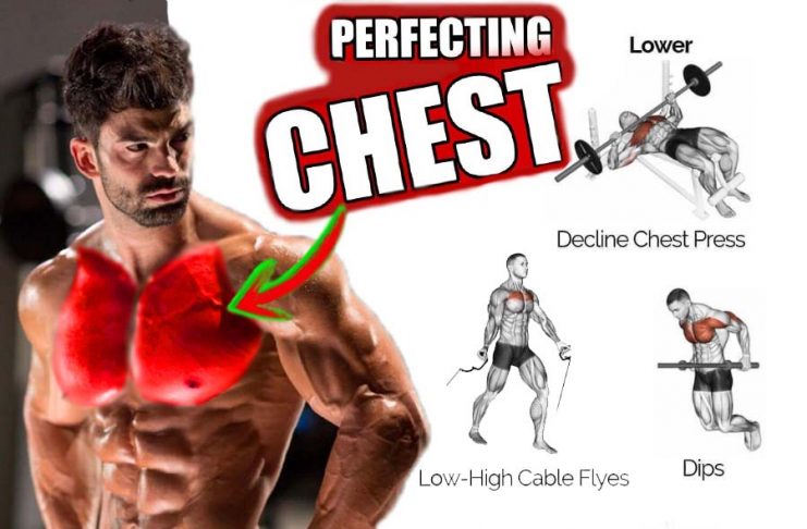 Build Chest - Perfect Exercises