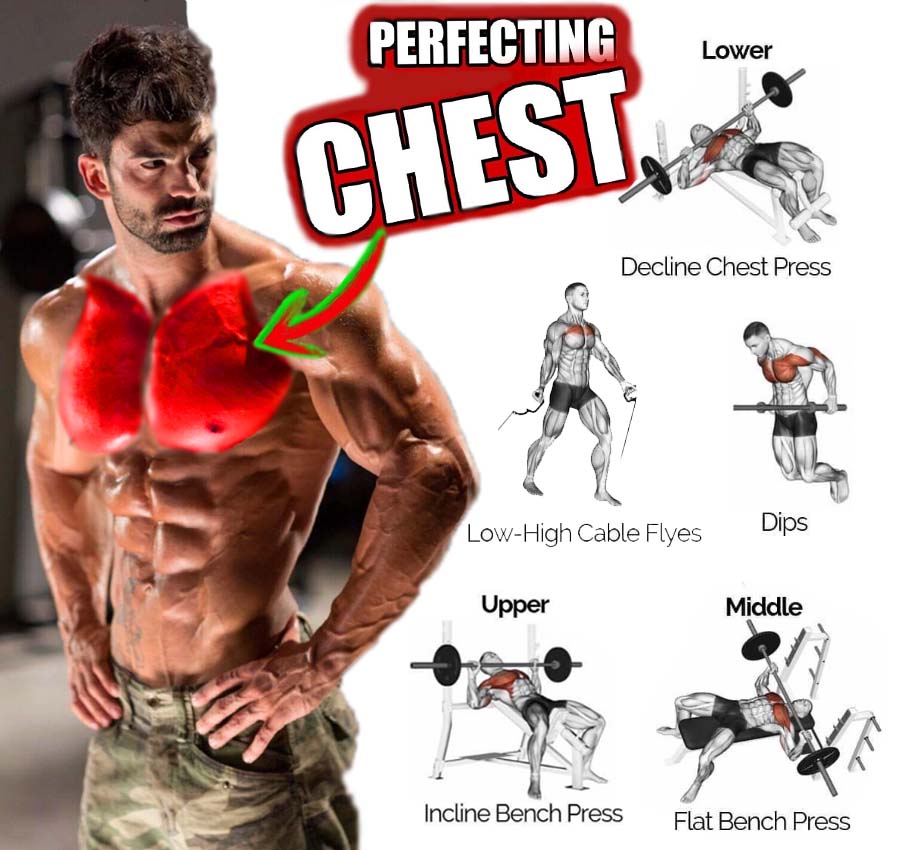 Pectoral Training Program for Chest Mass, Benefits, Tips