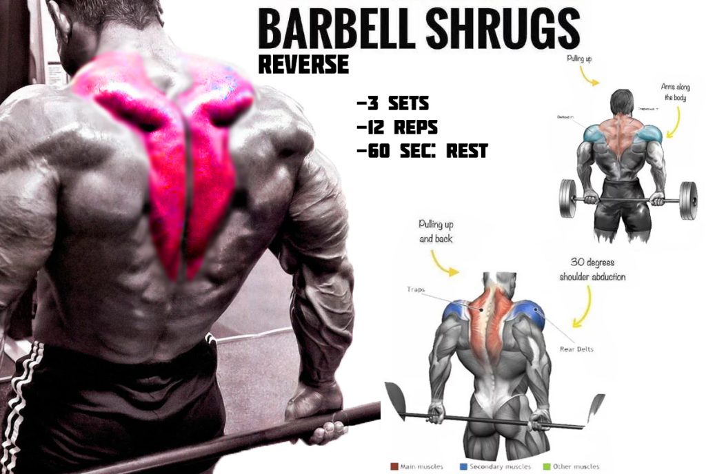 Do Shrugs Work Lats at Joe Best blog