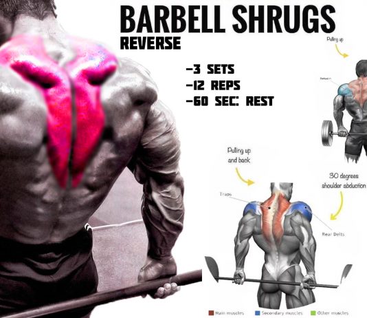 how to do reverse barbell shrugs