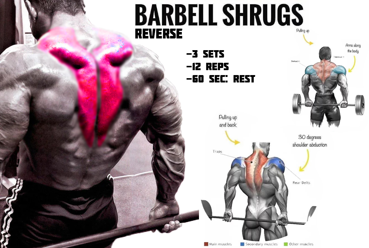 how to do reverse barbell shrugs