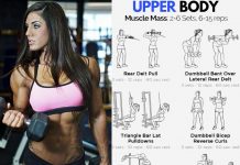 Ideal Workout Programs for Girls in the Gym upper body exercises