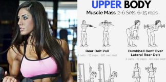 upper body exercises