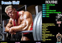 Dennis Wolf Workout Routine