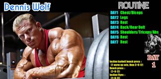 Dennis Wolf Workout Routine