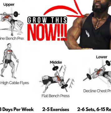 chest press guide