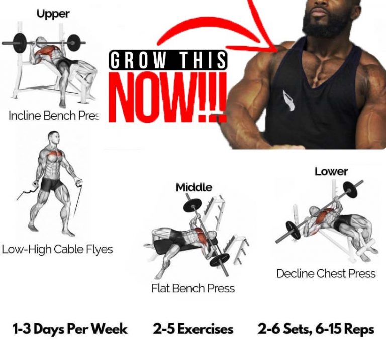 Bench Press Variations for a Bigger Chest | Guide & Tips