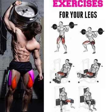 Top 5 Best Leg Exercises To Build Muscle Legs Exercise