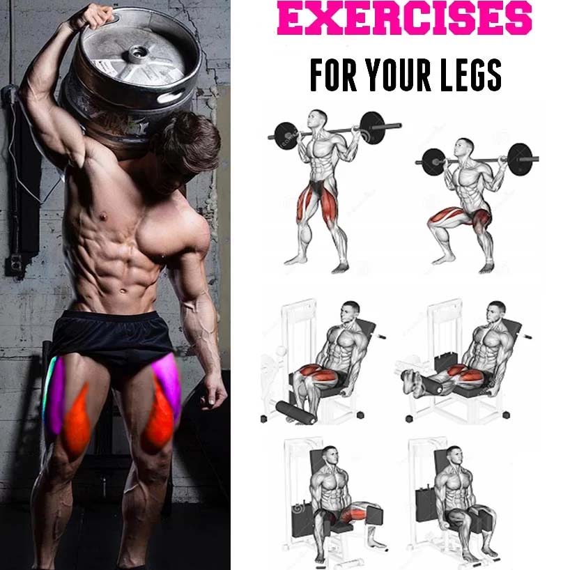 Legs Exercise 