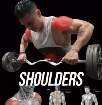 Phil Heath Shoulder Workout - Building Massive Shoulders