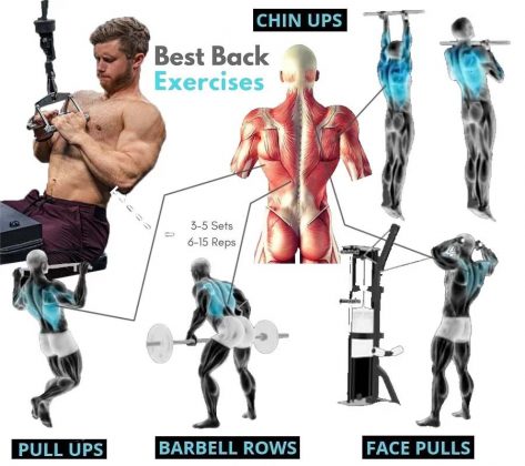 Best Basic Back Exercises | Guide