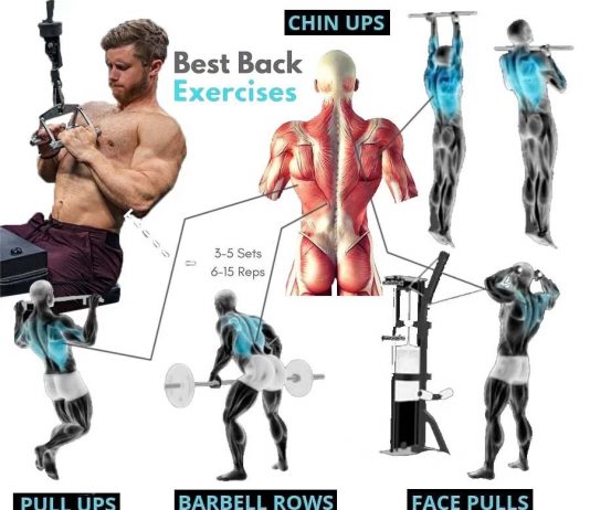 Best Basic Back Exercises | Guide Training Best Back