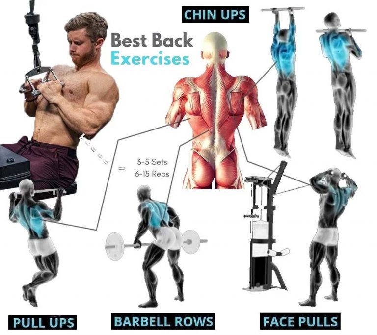 Best Basic Back Exercises Guide 