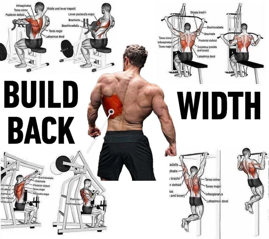 Back Exercises WeightEasyLoss Fitness Bodybuilding Lifestyle 