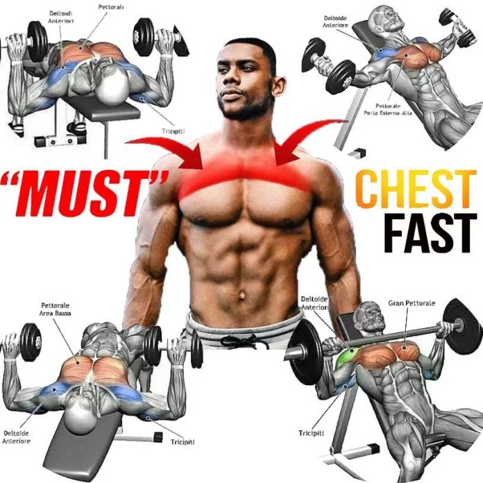 Grow Chest Muscles: Why Your Chest Isn't Growing, Tips & Benefits