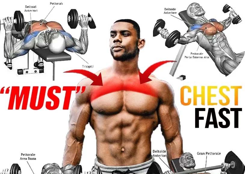 Chest & shoulder extension