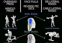 The 3 Best Shoulder Exercises | Training Programs Gym Shoulder Exercises