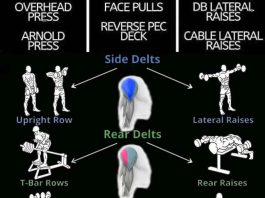 Shoulder Exercises