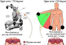 dumbbell fly exercises