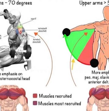 dumbbell fly exercises