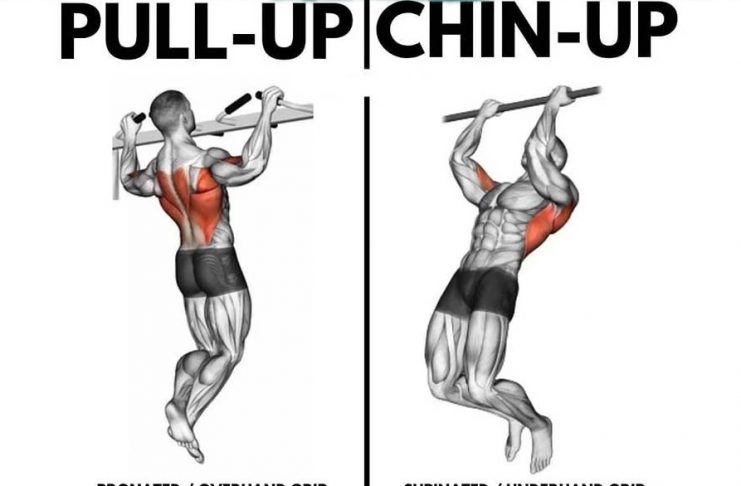 pull ups exercises