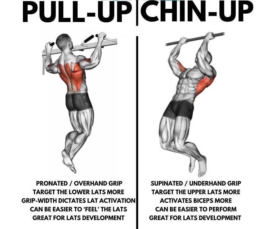 pull ups exercises