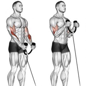 how to do Cable hammer curl