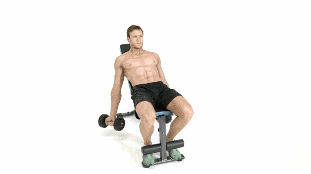 How to Incline Dumbbell Curl