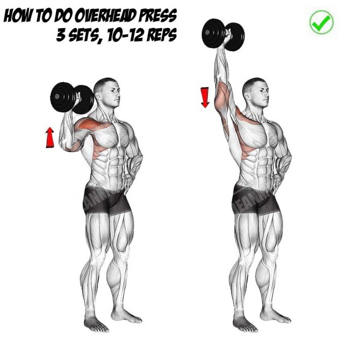 How To Perfect The Overhead Shoulder Press, Tips, Benefits