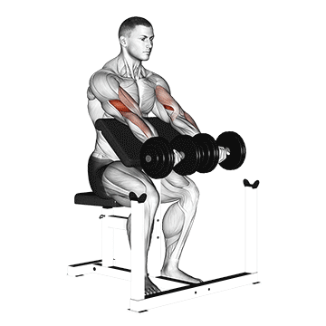 How to Preacher curl