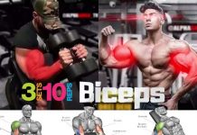 The biceps workout, benefits, tips