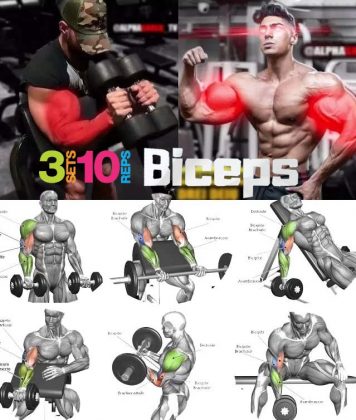 How to Do Best Biceps Workout, Benefits, Tips | Weighteasyloss.com