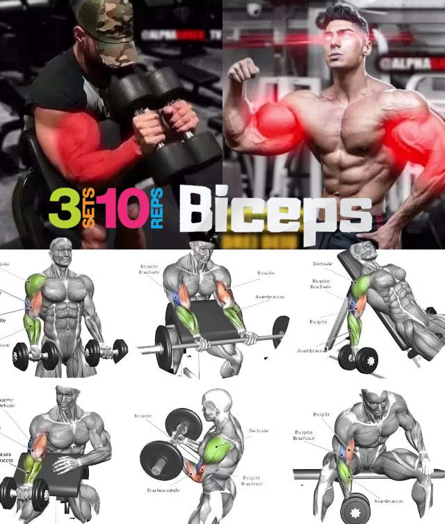 The best biceps workout, benefits, tips