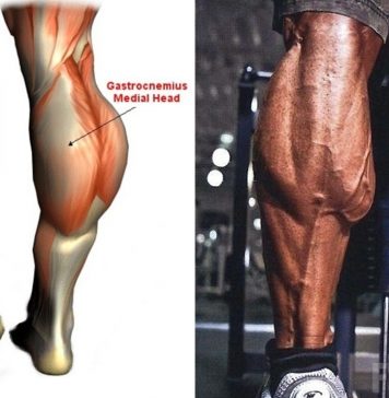How to Standing Calf Raises